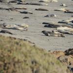 Cambria_2015_0160 (November 07, 2015)